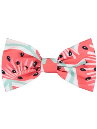 Watermelon Hair Bow Evangeline Red