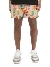 DSQUARED2 Zwembroek Beige/multicolor