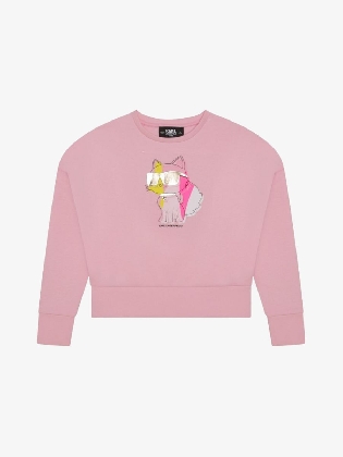 Sweater-shirt Roze  Oud Roze