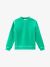 Woolrich American Crewneck Gd Kelly Green