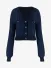 Guess Dames vest - Tiffany Ls Vn Cardi Suting And Cobalt Bl