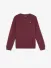Lyle & Scott Junior Jongens Sweater Burgundy