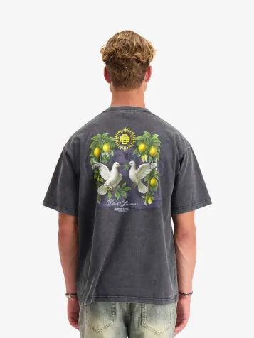 Heren T-shirt Doves Zwart