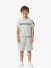 Parajumpers Kids Jongens T-shirt Iseo Fresh Grijs