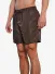 The Couture Club PRE ORDER Heren Zwembroek Emblem Water Reactive Bruin