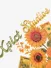 XPLCT Heren T-shirt Flowers Off White