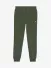 Lyle & Scott Junior Jongens Joggingbroek Deep Depths Groen