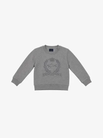 Jongens Sweater Melange Grijs